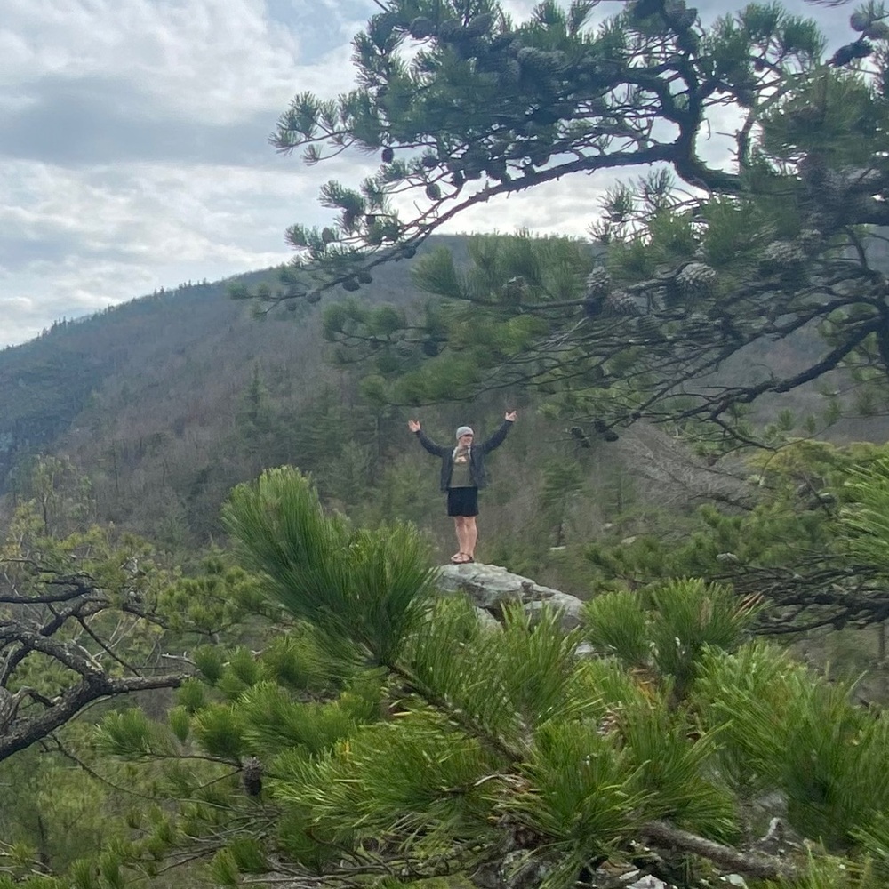 Meet your Posher, Davis